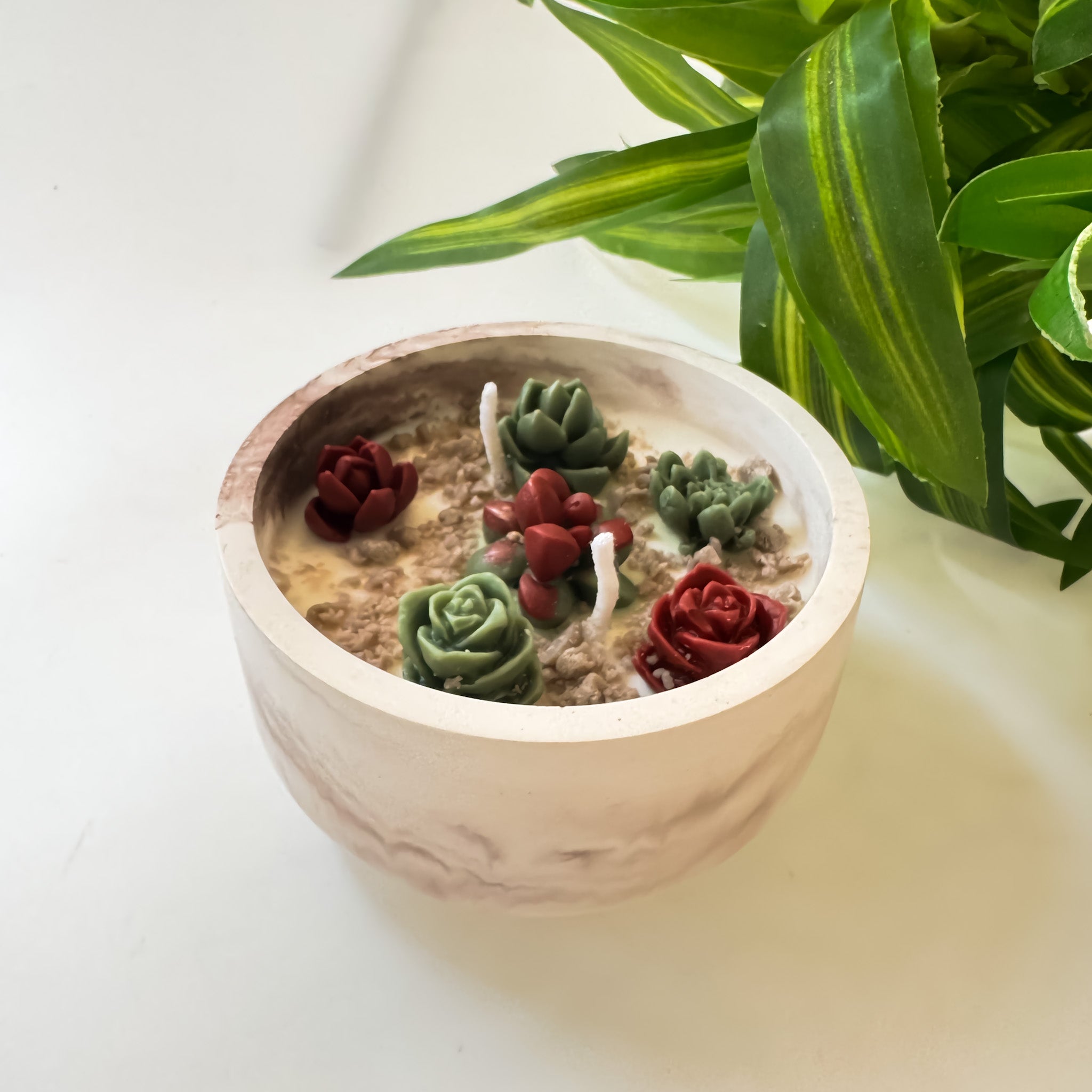 Succulent Glow Bowl mini