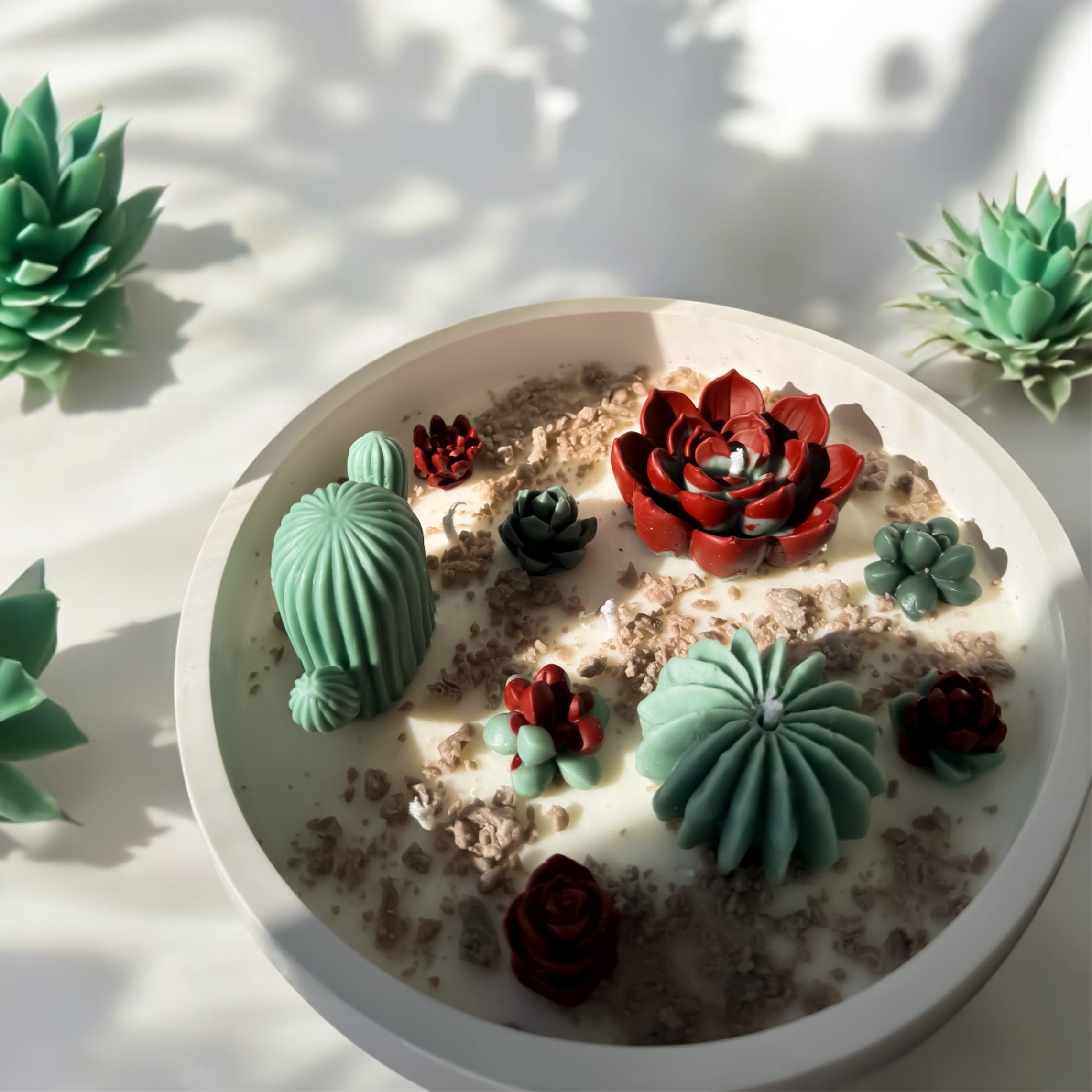 Succulent Glow Bowl