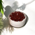 Succulent Glow Bowl mini