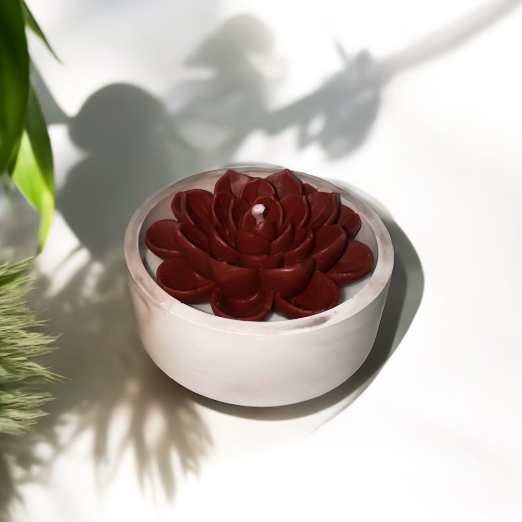 Succulent Glow Bowl mini